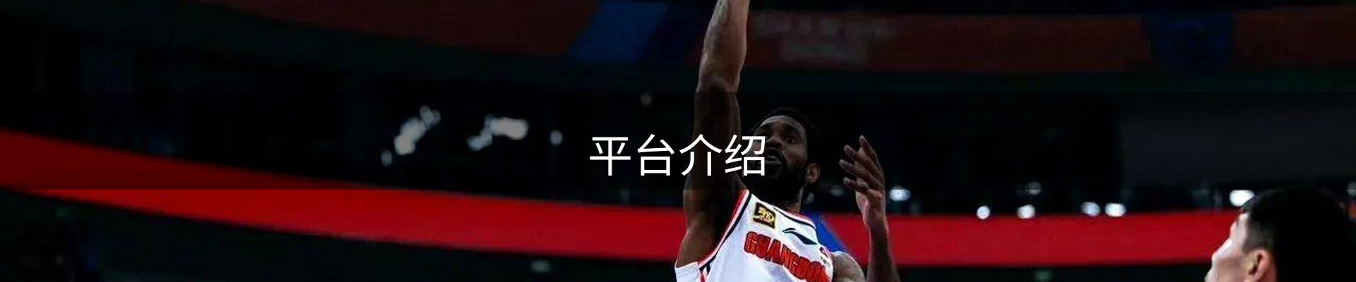 平台介绍